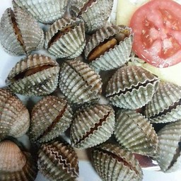 หอยแครงเผา