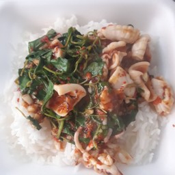 ข้าวผัดกระเพราปลาหมึก