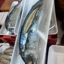 ปลาซาบะ