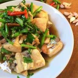 ข้าวราดผัดคื่นฉ่ายเนื้อปลา