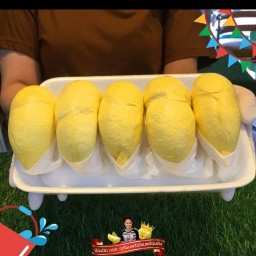 มะพร้าวน้ำหอม