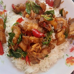 กระเพราหมูกรอบราดข้าว