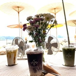 พันดาว 1000 Stars