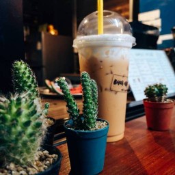 แคนา คาเฟ่@หัวหิน