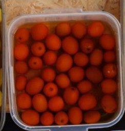 พุทราดอง