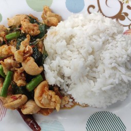 ร้านสมุนไพร ยันหว่าง& ข้าวกระเพรา สาขา 2