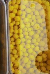 มะยมดอง