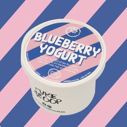 BLUEBERRY YOGURT
