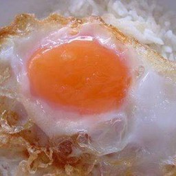 ไข่ดาว