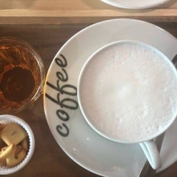 นมสด ร้อน