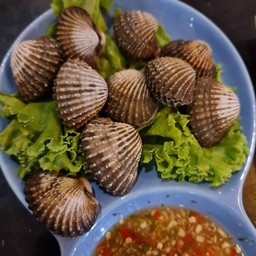 หอยแคลงลวก