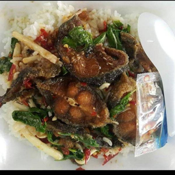 กะเพราปลาดุก