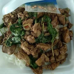 กะเพราตับไก่