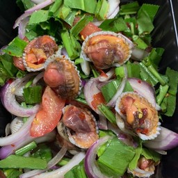 หอยแครงวัง