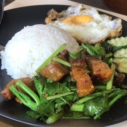 ข้าวคะน้าหมูกรอบน้ำมันหอย