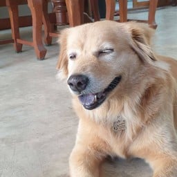 นางแบบ หน้าถุงกาแฟ