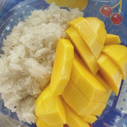 ข้าวเหนียวมะม่วง ชุดใหญ่