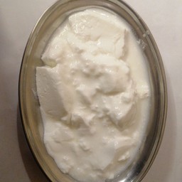 PLAIN CURD
