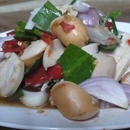 ตามสั่งตามเอย