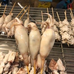 ทุเรียนหมอนทองใต้ชุมพร
