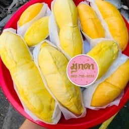 ผลไม้หน้าวัดภูเขาดิน