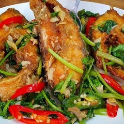 ปลาช่อนผัดคึ่นช่าย(ทั้งตัว)