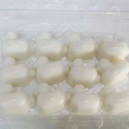 วุ้นเป็ด