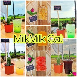 ร้านนม Milkmilk cat