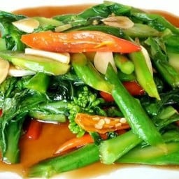 คะน้าน้ำมันหอย