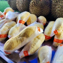 ทุเรียนไฮโซ