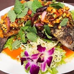 ปลาช่อนลุยสวน