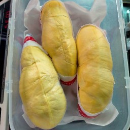 ทุเรียนหมอนทองเนื้อล้วนคัดพิเศษ