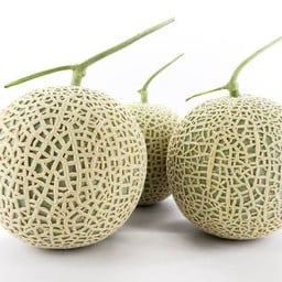 บ้านสวนผลไม้ by ลูกชาวสวน ประชาราษฎร์บำเพ็ญ10