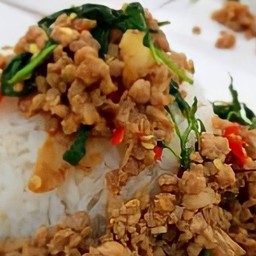 กะเพรา30