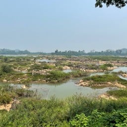 พันโขดแสนไคร้