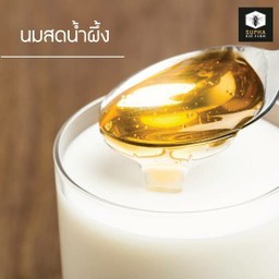 นมน้ำผึ้งป่าเย็น Honey milk