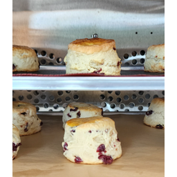 MENU_1235922kC_1650638999