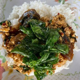 ข้าวกะเพราไก่ไข่เยี่ยวม้า