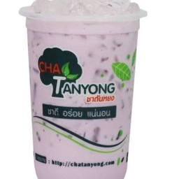 เผือกนมสด