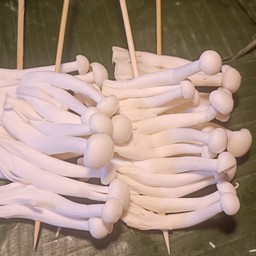 เห็ดชิเมจิ