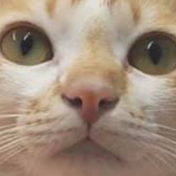 ซอลต์คาราเมลลาเต้(ปั่น)