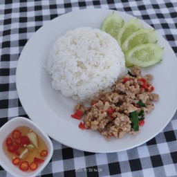 ข้าวกะเพราหมู