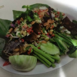 ปลาช่อนลุยสวน