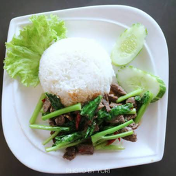 ผัดผักคะน้าเนื้อราดข้าว