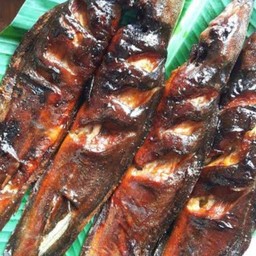 ปลาดุกย่าง