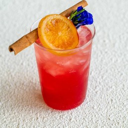 KOMBUCHA BERRY