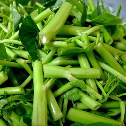 ผักบุ้งลวก