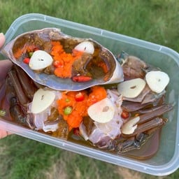 มากินดอง