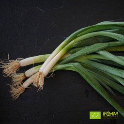 Organic Spring onions-200g