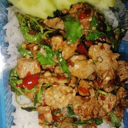 กระเพราเนื้อราดข้าว